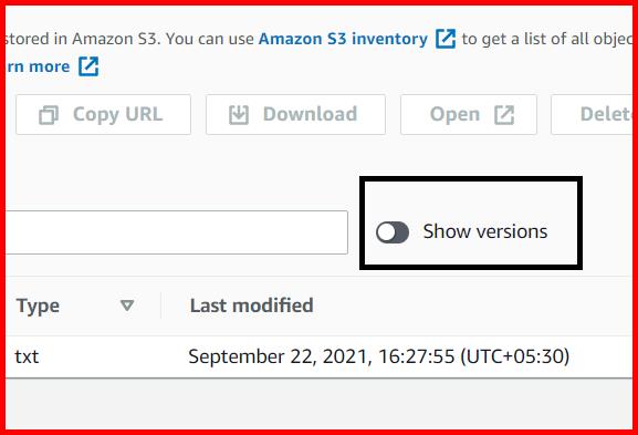 Picture showing the Show versions toggle button
